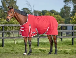ComFiTec Classic Standard Neck Medium