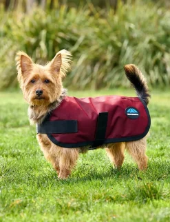 ComFiTec Classic Waterproof Dog Coat