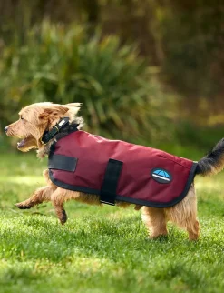 ComFiTec Classic Waterproof Dog Coat
