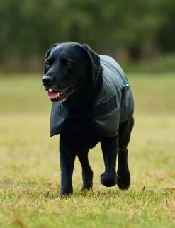 ComFiTec Classic Waterproof Dog Coat