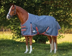 ComFiTec Essential Plus Standard Neck Medium