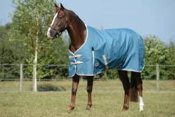 ComFiTec Essential Standard Neck Heavy