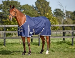 ComFiTec Essential Standard Neck Heavy