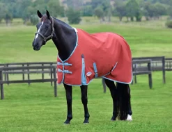 ComFiTec Essential Standard Neck Lite