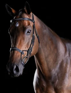 ComFiTec Fancy Stitch Bridle