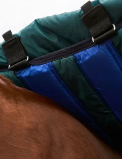 ComFiTec Plus Dynamic Turnout Detach-A-Neck 220G