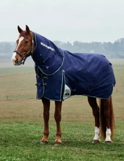 ComFiTec Plus Dynamic Turnout Detach-A-Neck 220G