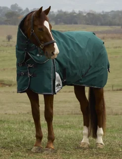 ComFiTec Plus Dynamic Turnout Detach-A-Neck 100G
