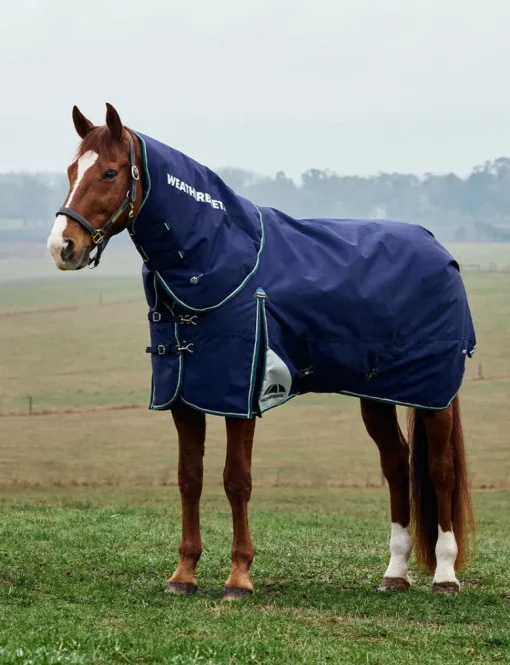 ComFiTec Plus Dynamic Turnout Detach-A-Neck 0G