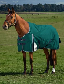 ComFiTec Plus Dynamic Turnout 100G