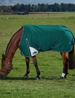 ComFiTec Plus Dynamic Turnout 100G