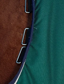 ComFiTec Plus Dynamic Turnout 0G