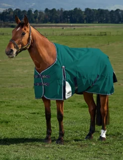 ComFiTec Plus Dynamic Turnout 0G