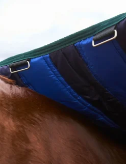 ComFiTec Plus Dynamic Turnout 0G