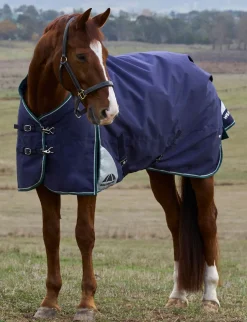 ComFiTec Plus Dynamic Turnout 0G