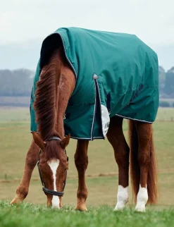 ComFiTec Plus Dynamic Turnout High Neck 220G