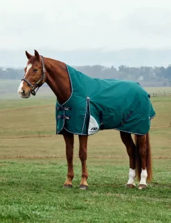 ComFiTec Plus Dynamic Turnout High Neck 220G