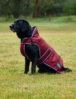 ComFiTec Premier Deluxe Waterproof Dog Coat