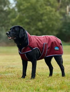 ComFiTec Premier Deluxe Waterproof Dog Coat