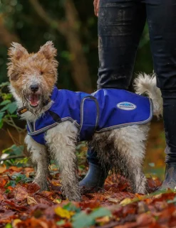 ComFiTec Premier Free Parka Deluxe Dog Coat Medium
