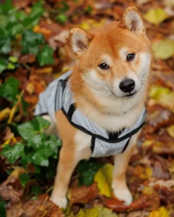 ComFiTec Reflective Dog Coat Medium