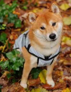 ComFiTec Reflective Dog Coat Medium