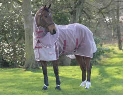 ComFiTec Ripshield Plus With Belly Wrap Detach A Neck