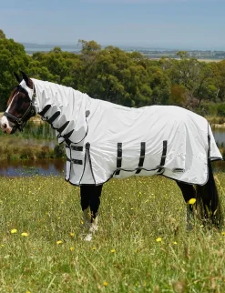 ComFiTec Sweet Itch Shield Fly Sheet Combo