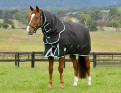 ComFiTec Ultra Comfi Detach-A-Neck Heavy