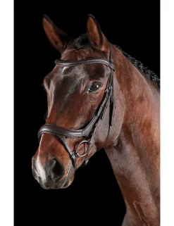 ComFiTec Vogue Anatomical Bridle