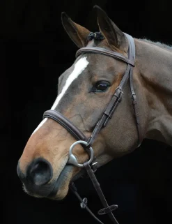 Comfort Crown Padded Raised Cavesson Bridle