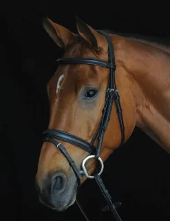 Comfort Crown Padded Raised Flash Bridle