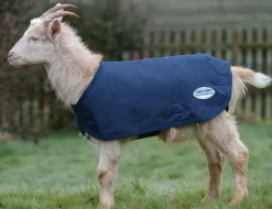 Deluxe Goat Coat