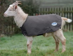 Deluxe Goat Coat