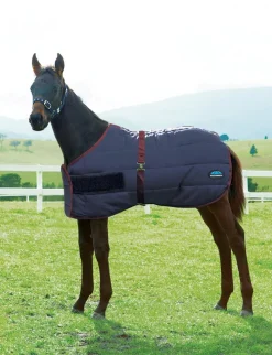 420D Foal Standard Neck Medium