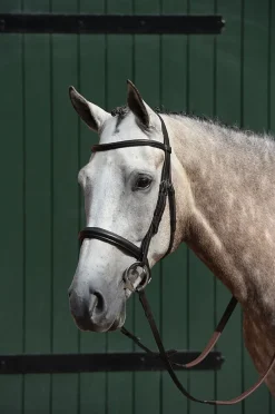 Essential Padded Raised Cavesson Bridle