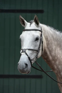 Essential Padded Raised Fancy Stitched Figure 8 Bridle