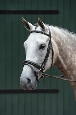 Essential Padded Raised Fancy Stitched Flash Bridle