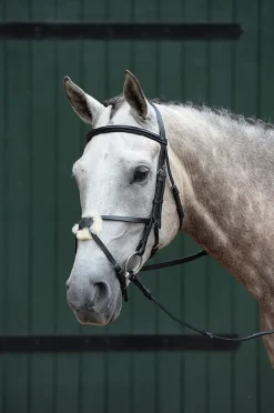 Essential Padded Raised Figure 8 Bridle