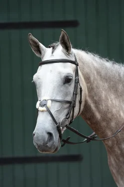 Essential Padded Raised Figure 8 Bridle