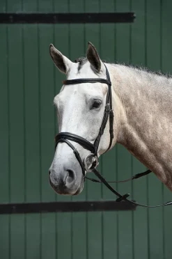 Essential Padded Raised Flash Bridle