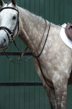 Essential Plain Flat Running Martingale