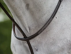 Fancy Stitched Raised Standing Martingale II