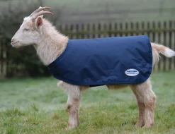 Goat Coat