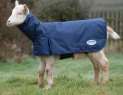 Goat Coat with Neck
