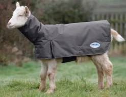 Goat Coat with Neck