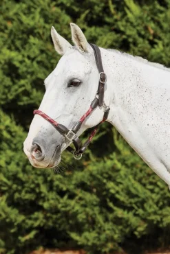 Leather Rope Headcollar