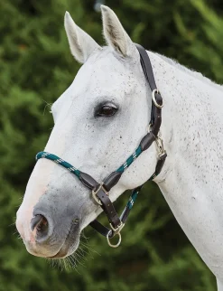 Leather Rope Headcollar