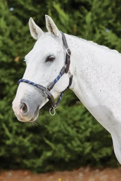 Leather Rope Headcollar