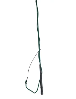 Lunge Whip